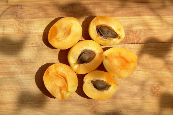 Les abricots : trois semaines de pleine saison qu'il ne faut pas rater