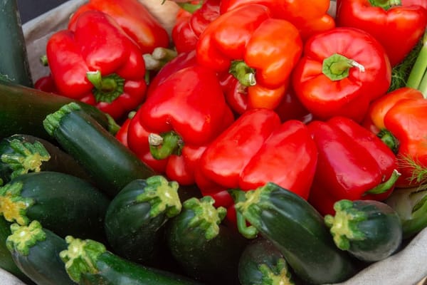 Les courgettes de juillet : que faire quand le potager en donne trop