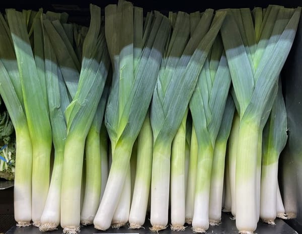 Le poireau : ce légume modeste qui mérite mieux que la soupe
