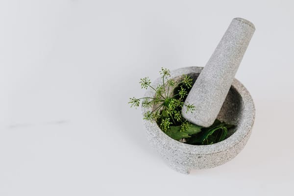Le pesto au mortier : pourquoi le mixeur trahit le basilic