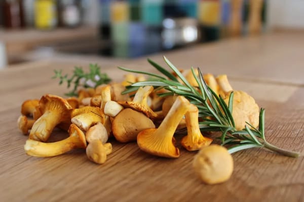 Les girolles de fin août : comment les choisir, les nettoyer sans les détremper et les conserver