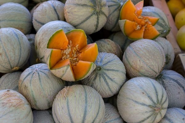 Le melon charentais : le choisir mûr, le conserver et le marier au salé
