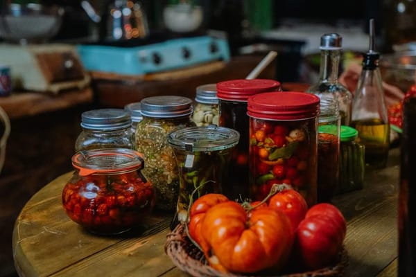 Tomates de fin d'été : le bon moment pour les conserves